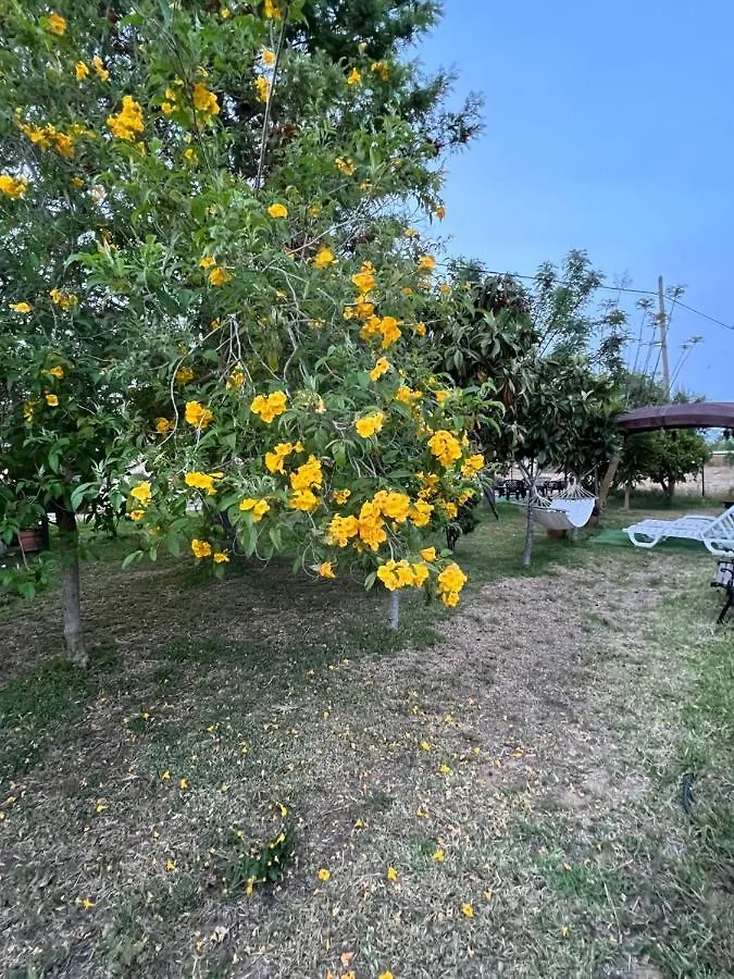 Holiday home Quinta Dos Viegas Villa Faro Portugal