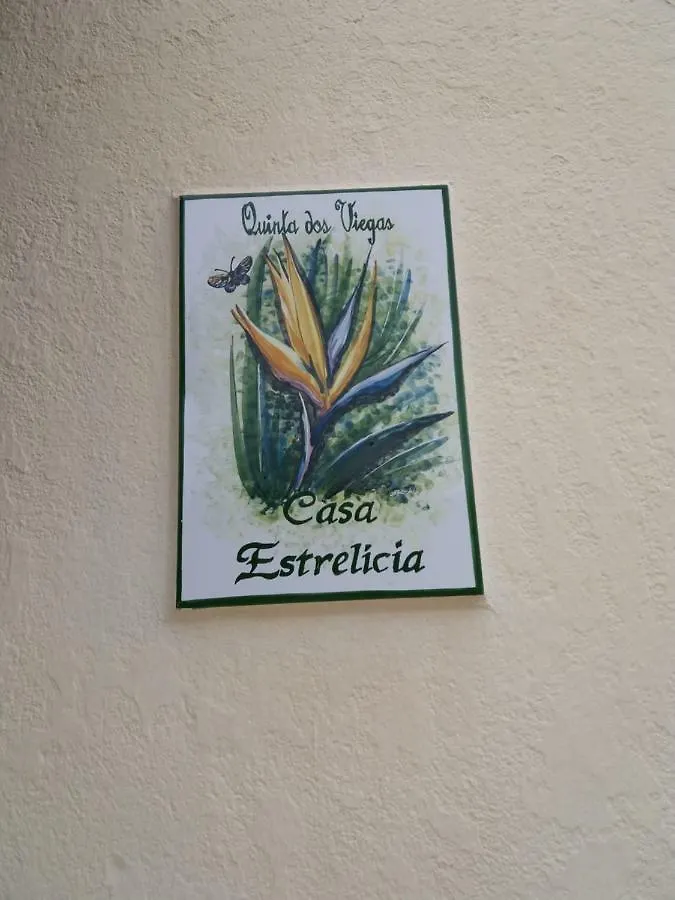 Quinta Dos Viegas Villa Faro Holiday home