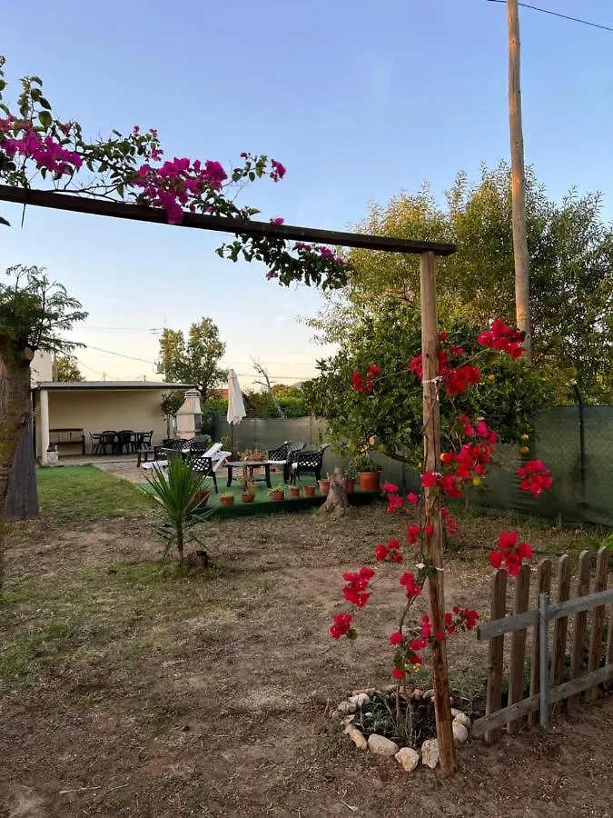 Quinta Dos Viegas Villa Faro Holiday home
