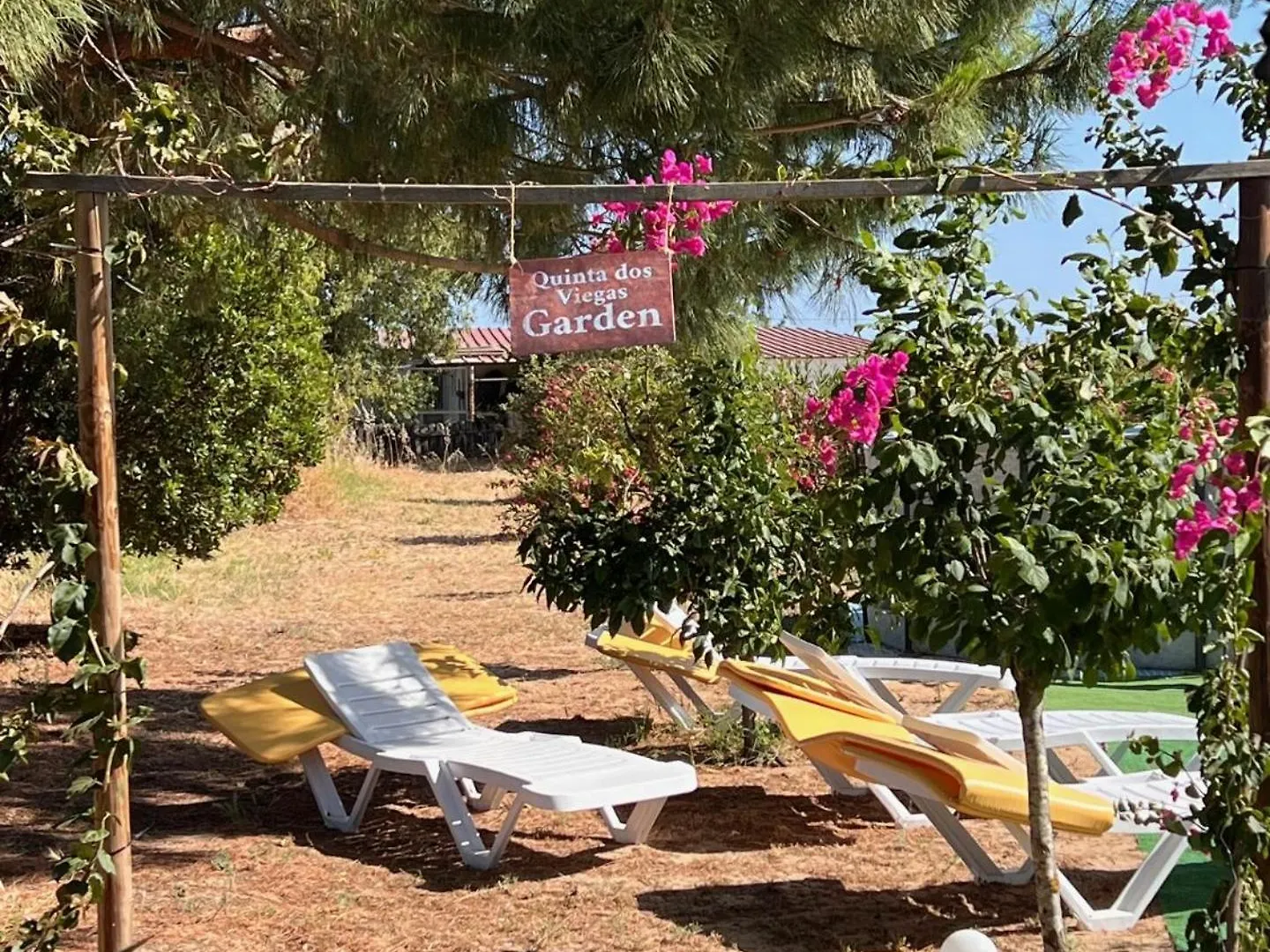 Quinta Dos Viegas Villa Faro Holiday home